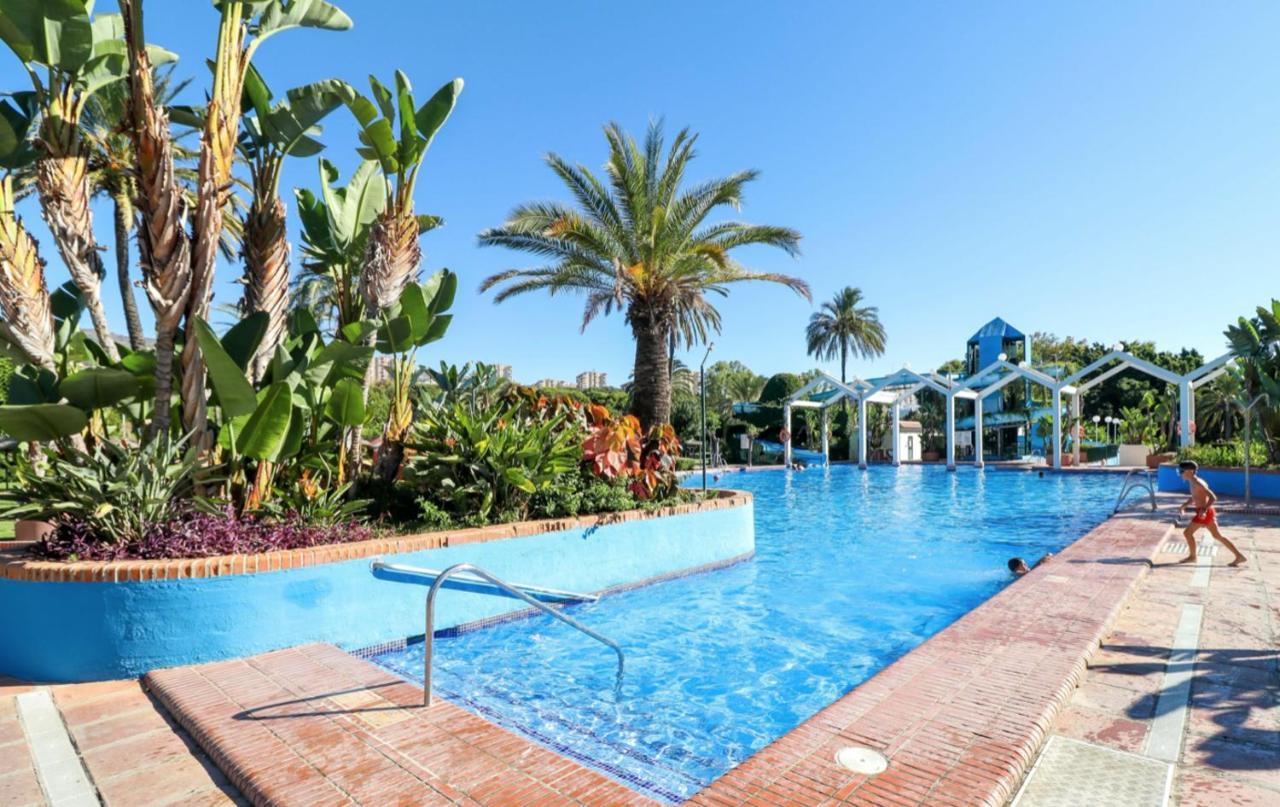 Bilbil * Benalmadena