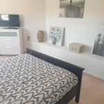 La Casa De La Palmeras