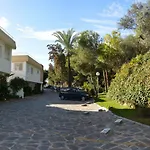 Palmeras Del Golf