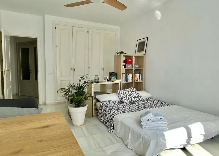 Apartment Or Single Room