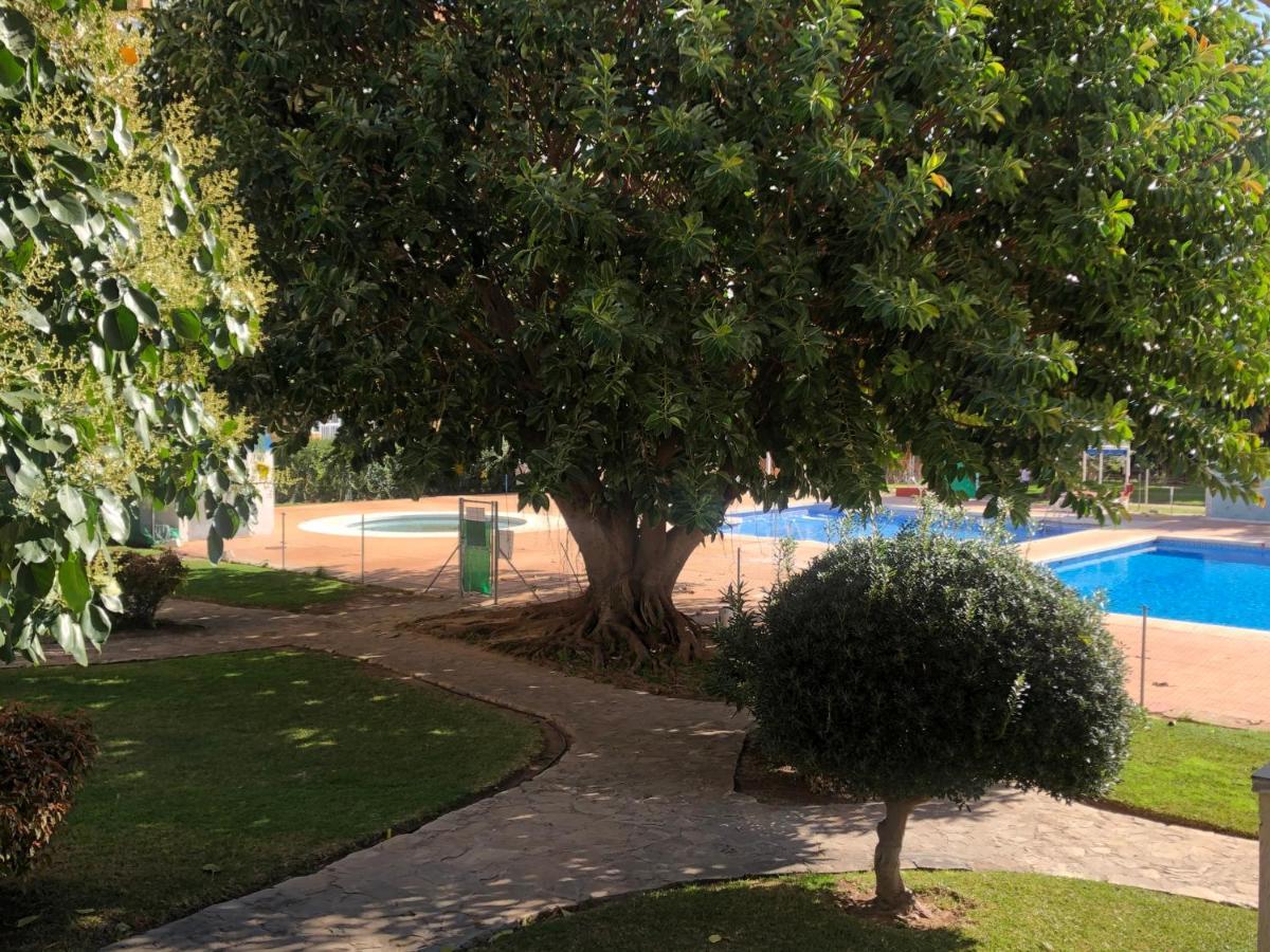 Estudio Vacacional Playa Appartement