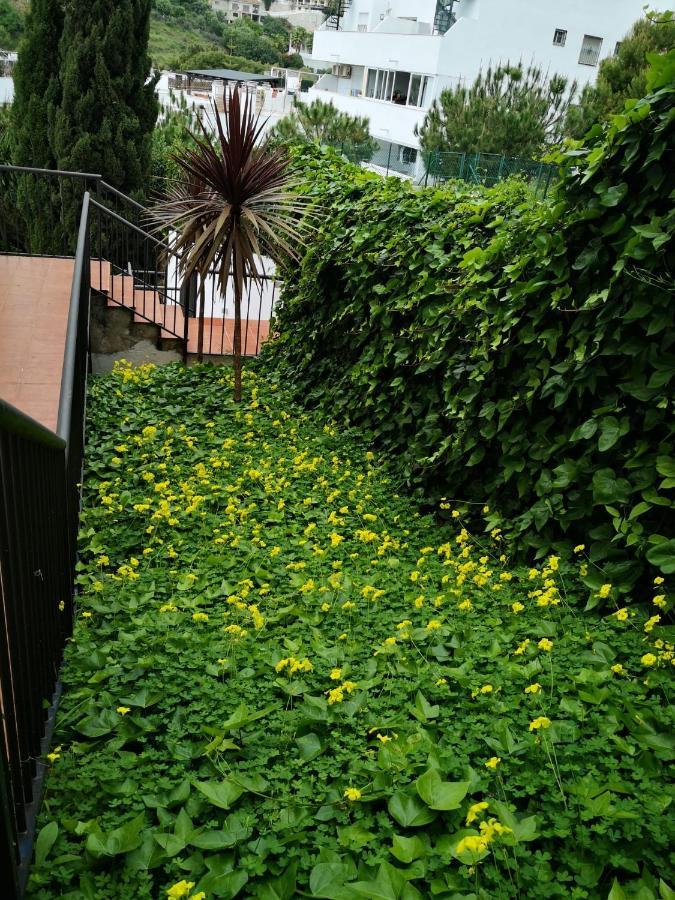 Appartement Dana I Eurogolf, Vistas, Wifi, Piscina Y Parking *