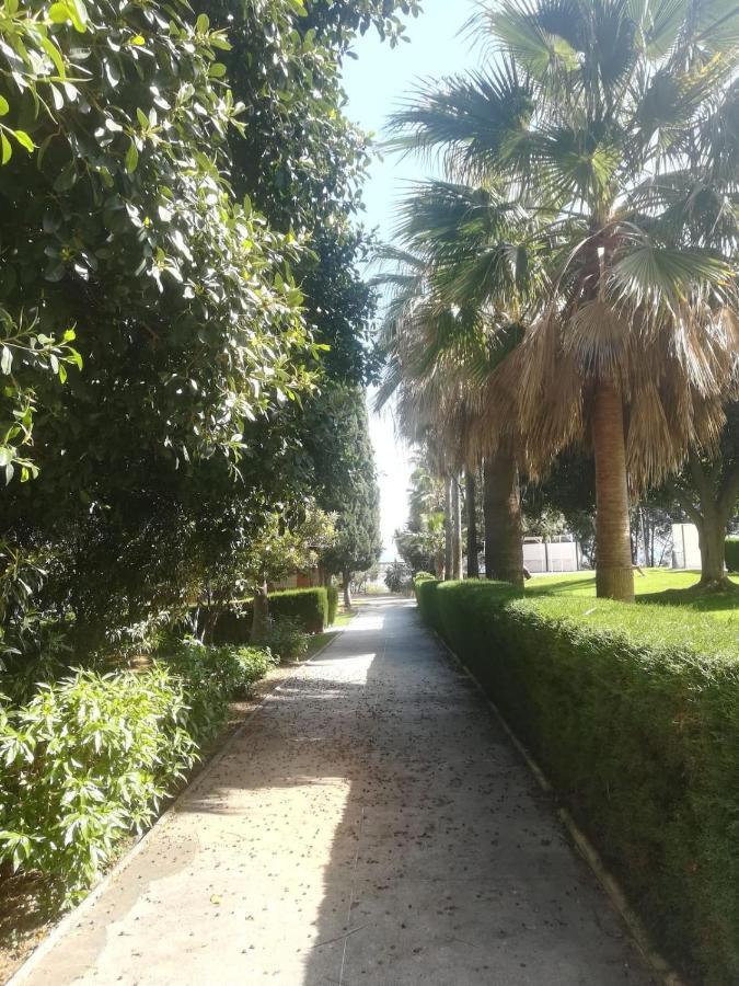 Estudio Con Vistas Calm I - Costa * Benalmadena