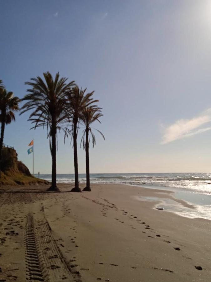 In Costa Del Sol Apartment Benalmadena