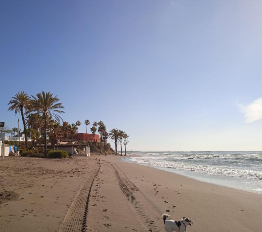 In Costa Del Sol Apartment *