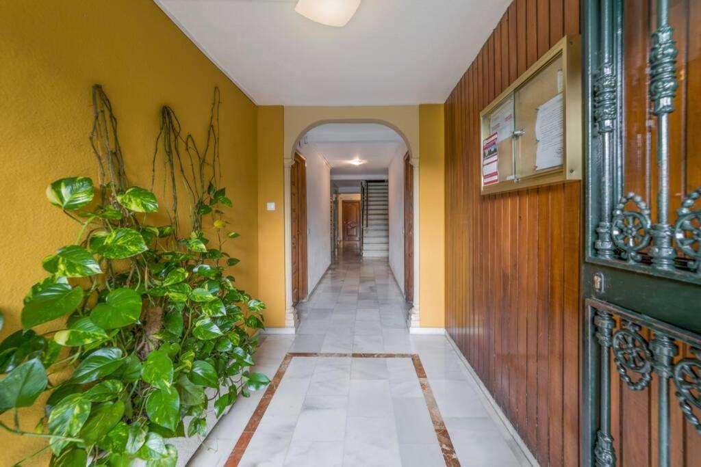 Iloftmalaga Urb. Bejar -