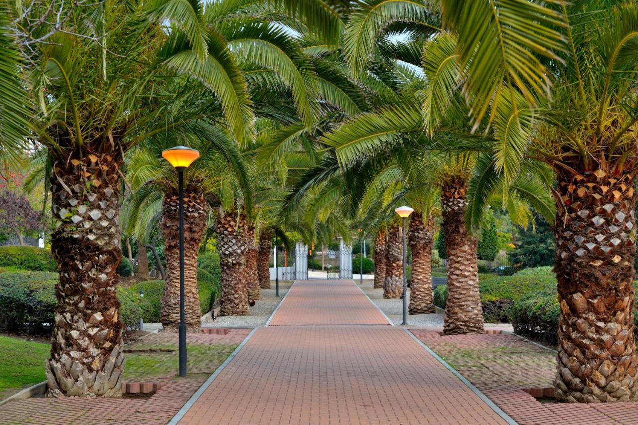 Top Floor Studio Benalmádena