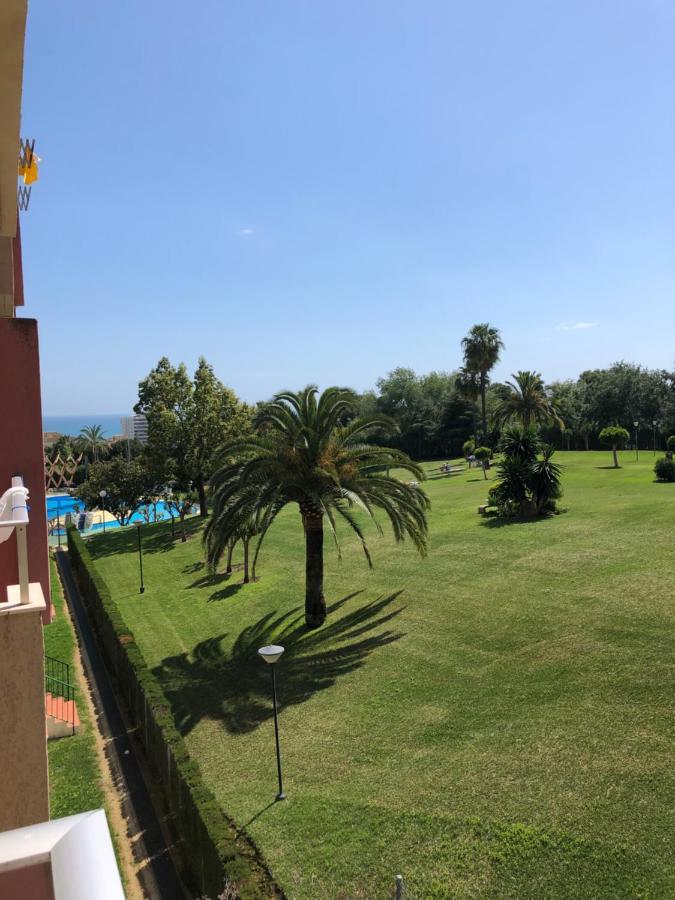 Minerva * Benalmadena