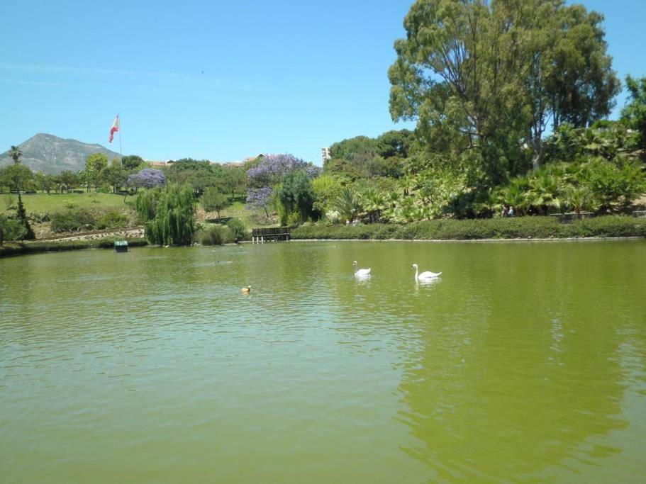Randmar Costa Del Sol Apartment