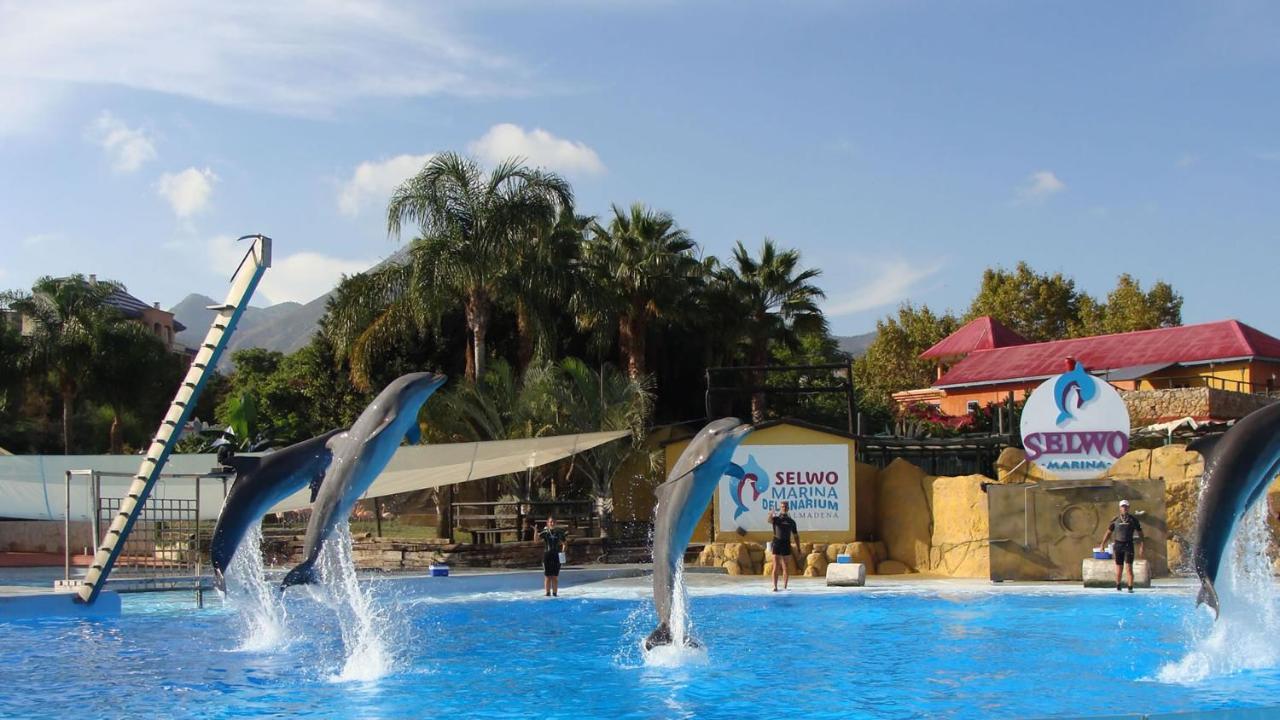 Impecable Estudio Con Parque Acuatico Appartement *
