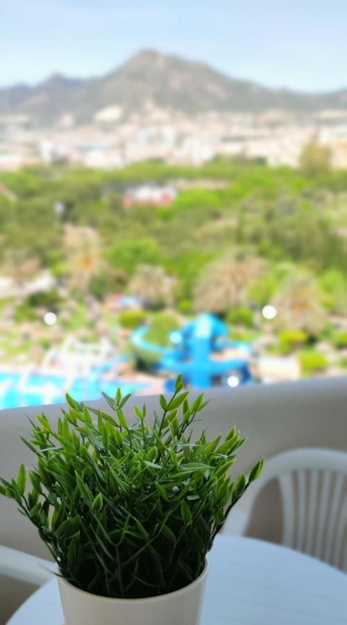 Benalbeach Estudio Premium *