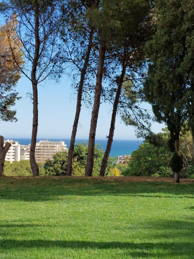 In Gamonal Benalmádena