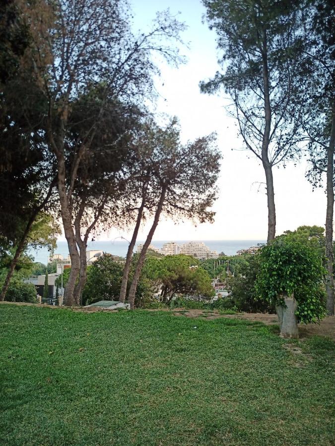 Sweet Benalmadena, Estudio Con Vistas Al Mar Y Excelente Conexion Wifi, No Fumadores, Con Piscinas, Sea Views, With Swimming Pools, Completely Renovated, Ideal For Older People, Bright With Morning Sun, No Smoking * Benalmádena