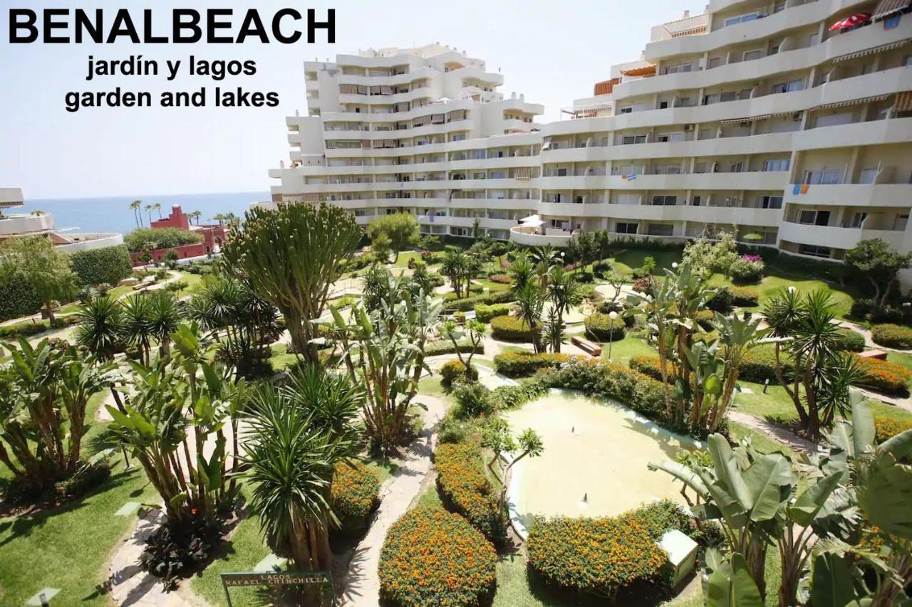 Estudio Benalbeach Primera Linea De Playa Apartment *