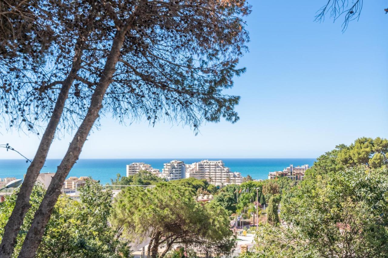 Apartment Hercules Playa *