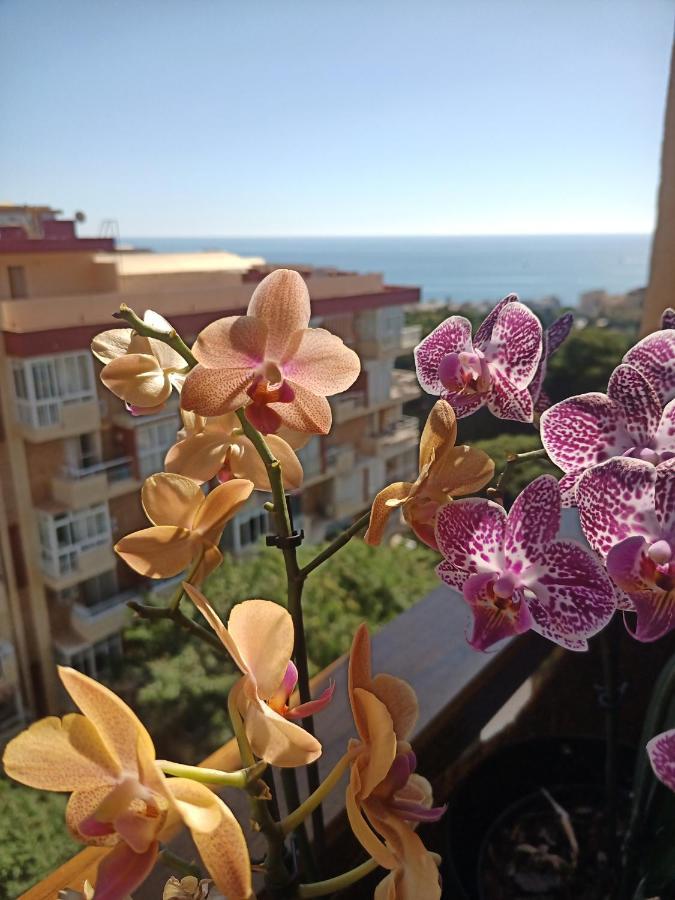 Sweet Benalmadena, Estudio Con Vistas Al Mar Y Excelente Conexion Wifi, No Fumadores, Con Piscinas, Sea Views, With Swimming Pools, Completely Renovated, Ideal For Older People, Bright With Morning Sun, No Smoking *