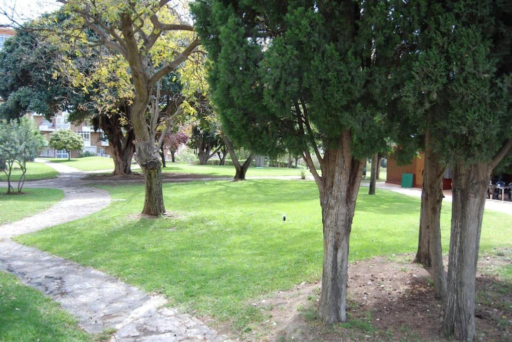 Sol Y Playa Apartment