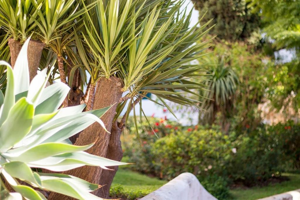 Stunning Ground Floor Apartment! * Benalmádena