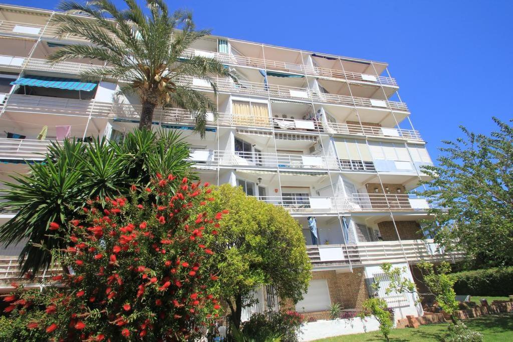 Alegranza I Benalmadena