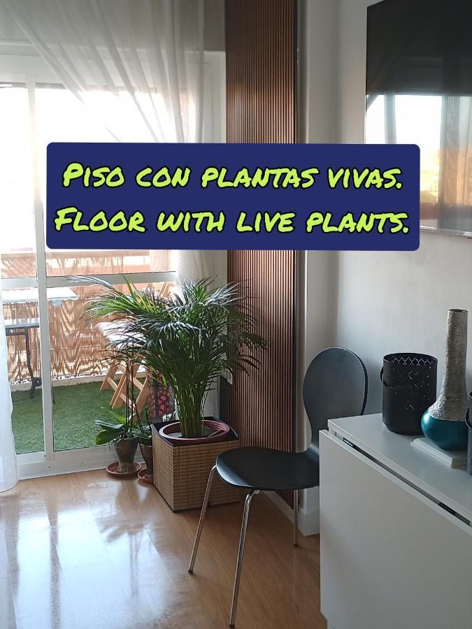 Sweet Benalmadena, Estudio Con Vistas Al Mar Y Excelente Conexion Wifi, No Fumadores, Con Piscinas, Sea Views, With Swimming Pools, Completely Renovated, Ideal For Older People, Bright With Morning Sun, No Smoking Appartement *