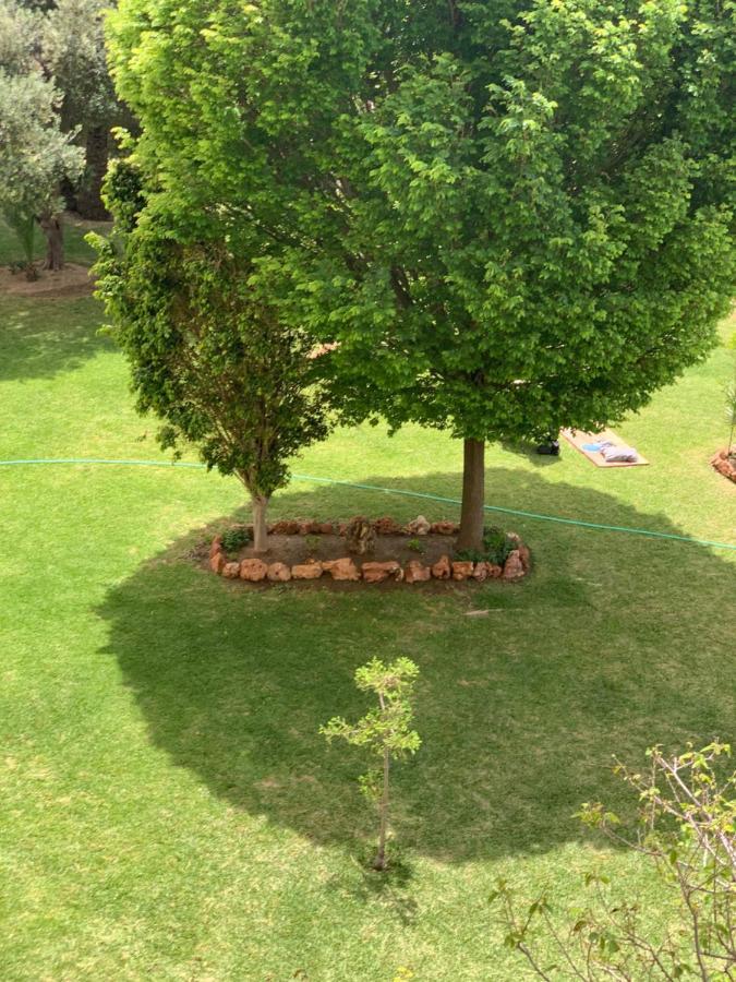 Apartment Fabulous Sunny Second Floor - Edificio Europark - Overlooking Gardens And Pools. *