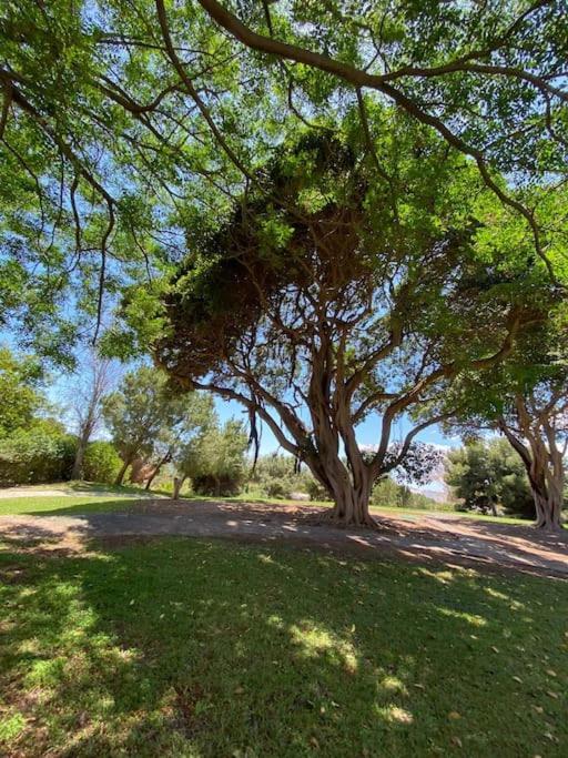 Appartement Moderno Con Vistas, Recepcion 24 Hs Y Piscinas