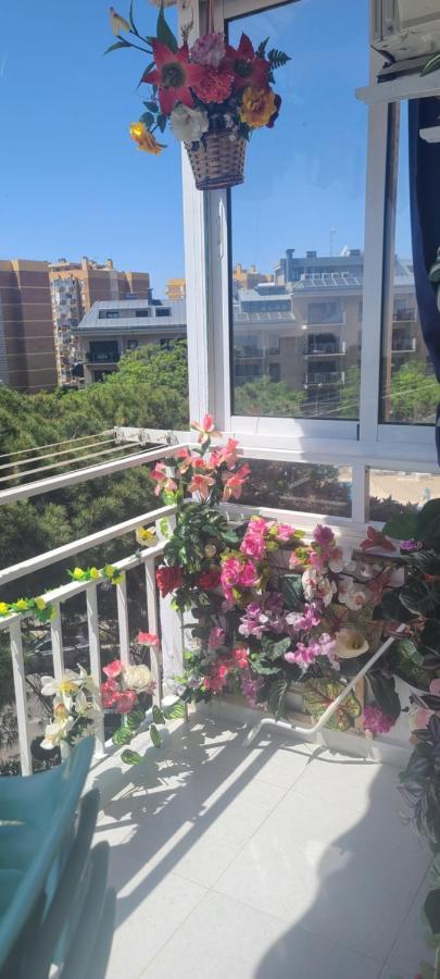 Acuario Shared Flat Piso Compartido Est Partage الشقة مشتركة Benalmadena