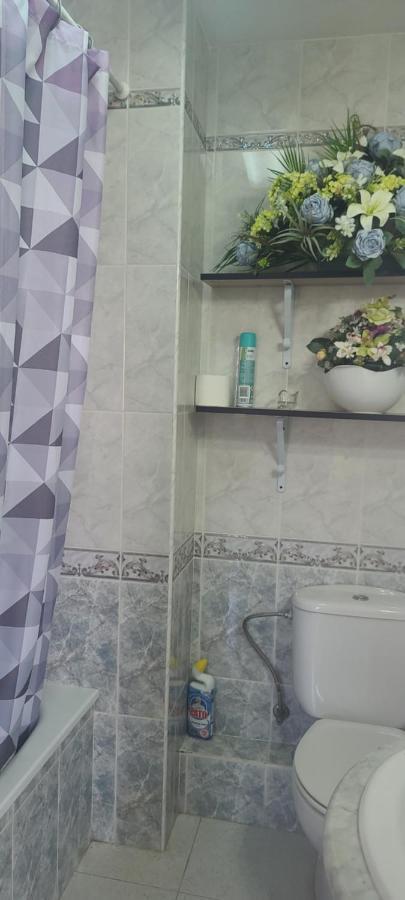 Acuario Shared Flat Piso Compartido Est Partage الشقة مشتركة Homestay