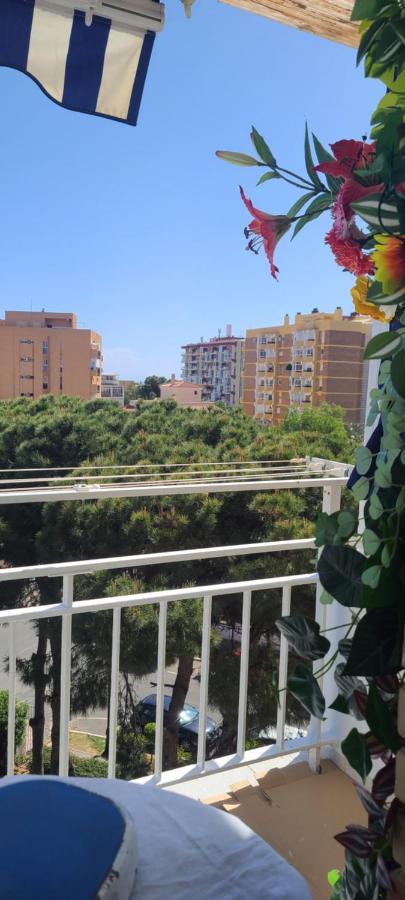 Acuario Shared Flat Piso Compartido Est Partage الشقة مشتركة Homestay Benalmadena