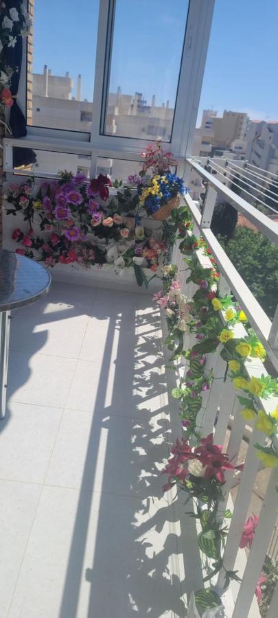 Acuario Shared Flat Piso Compartido Est Partage الشقة مشتركة Homestay Benalmadena