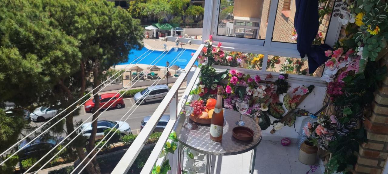 Acuario Shared Flat Piso Compartido Est Partage الشقة مشتركة Homestay