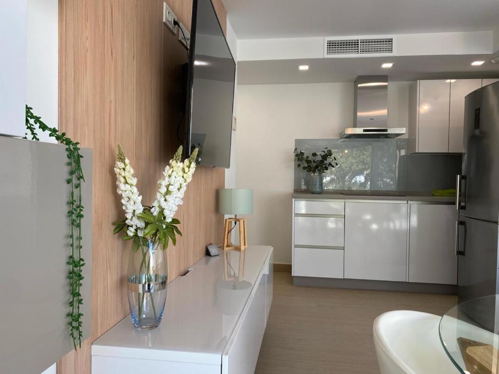 Brisa Puerto Marina Apartment