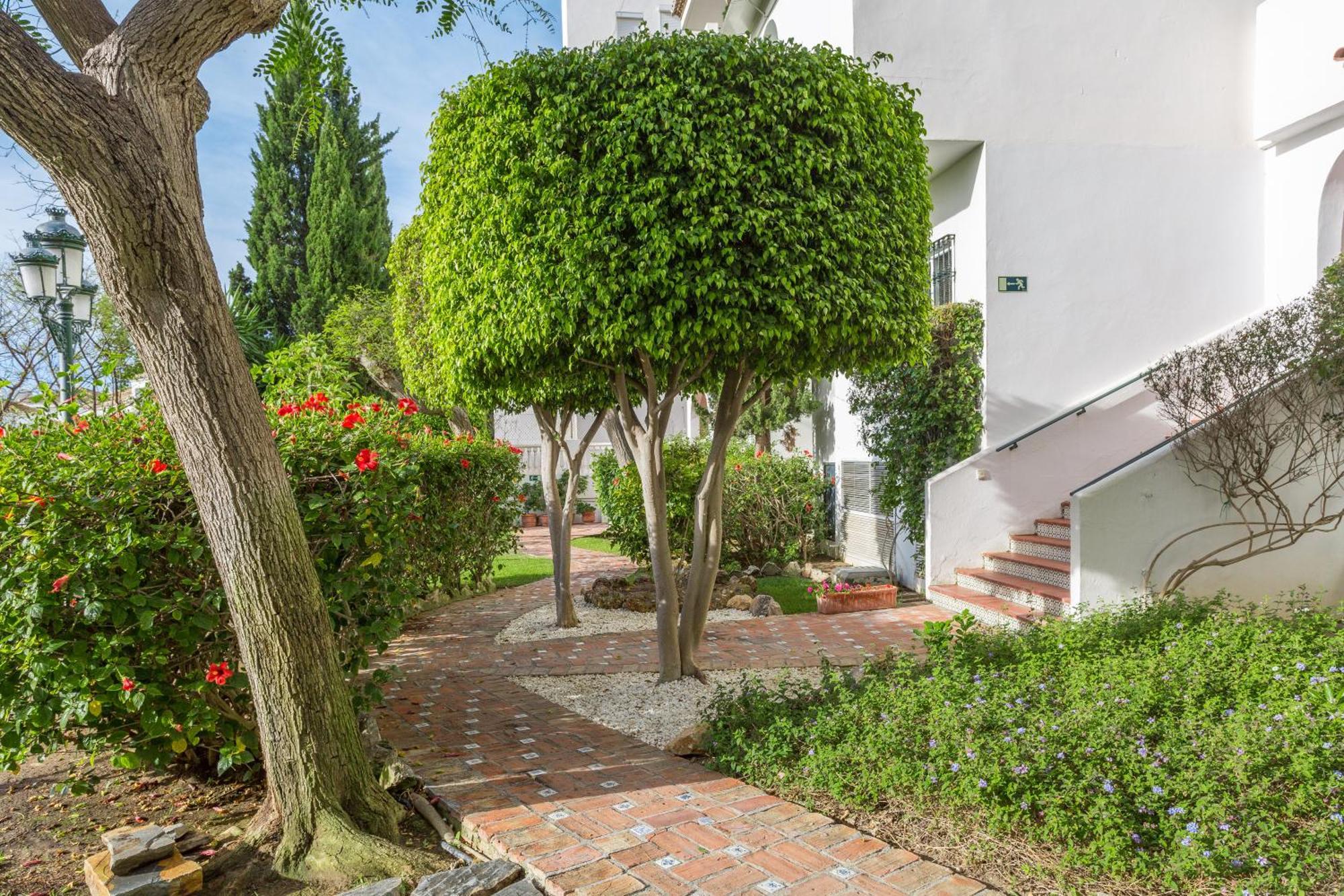 Royal Oasis Club At Pueblo Quinta 3*