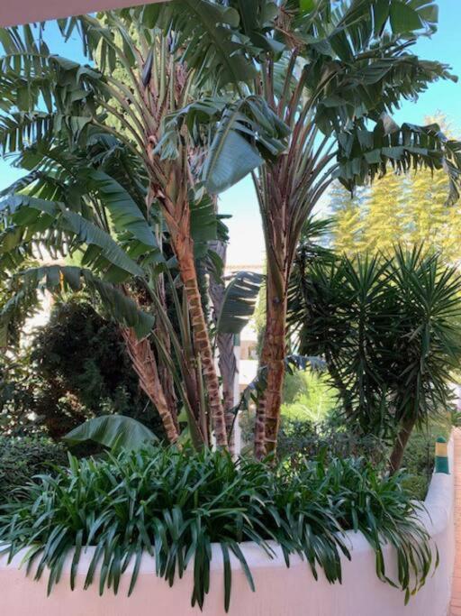 Appartement Pueblo Del Parque, Parc La Paloma *