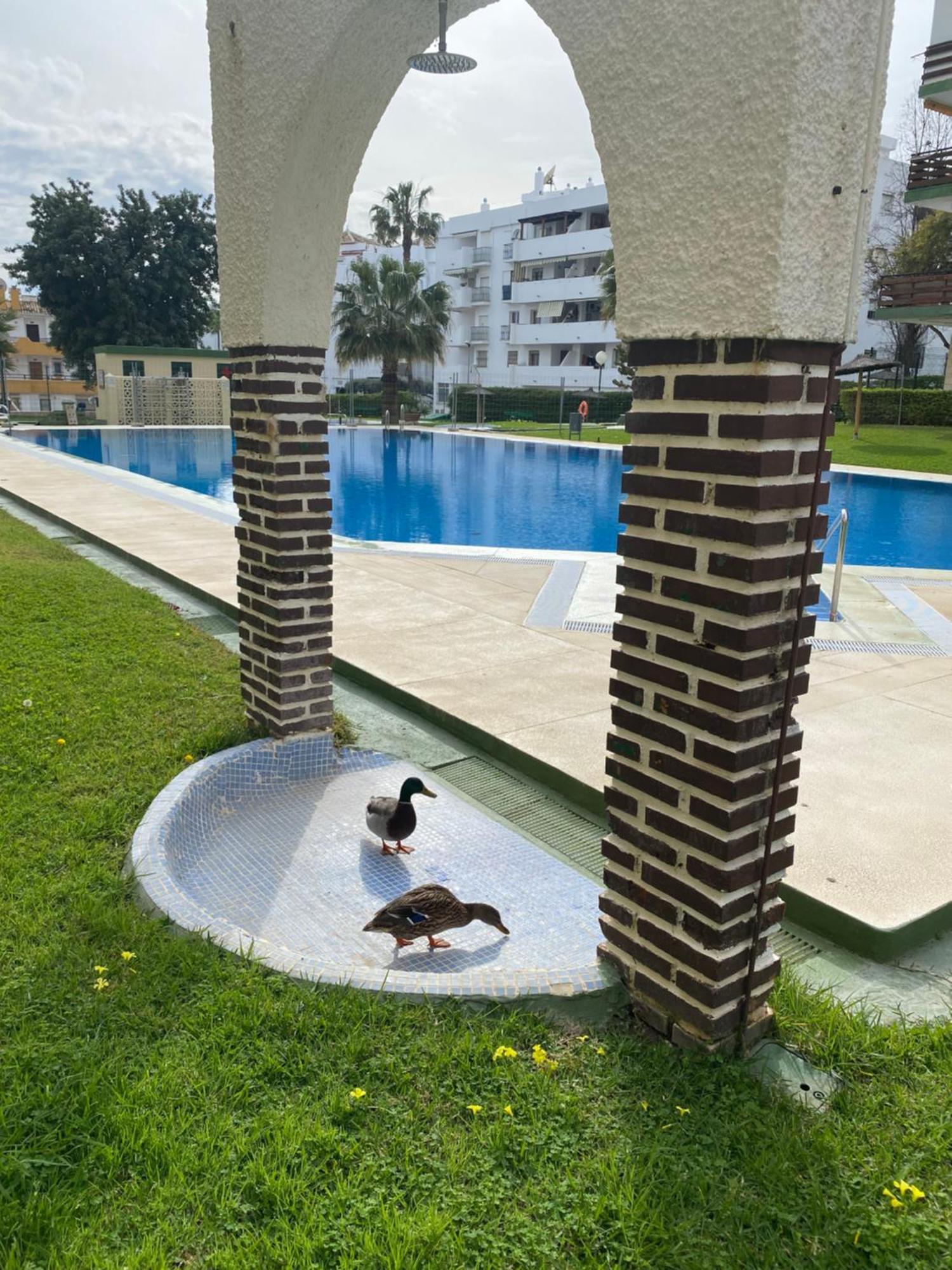 Apartment Naciones Playa, Los Molinillos