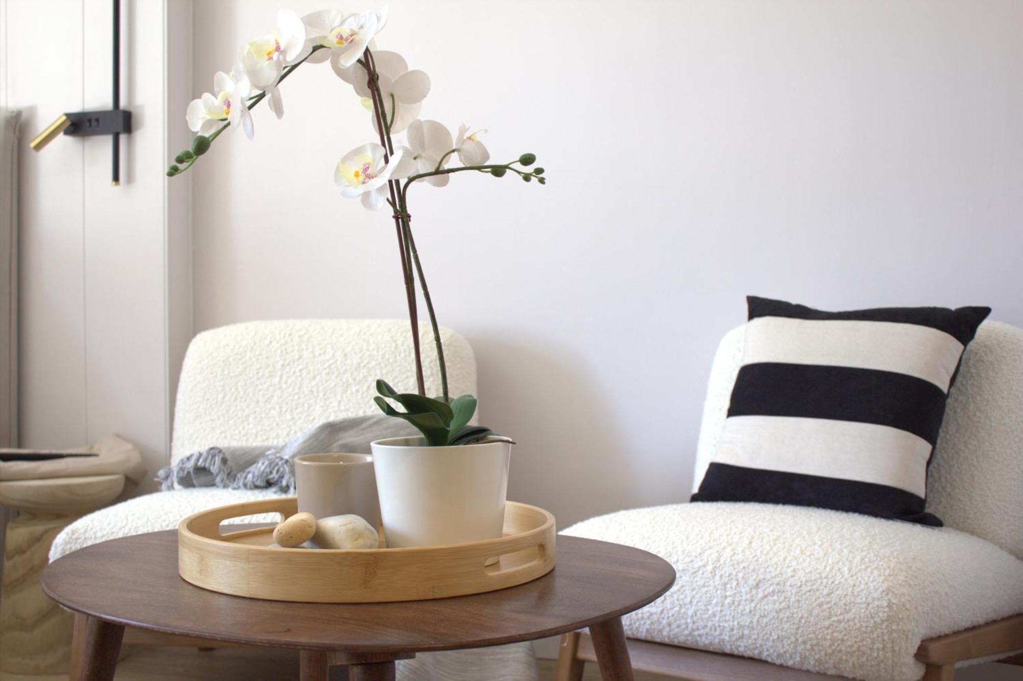 Minerva Estudio Nature, And Pool Apartamento *