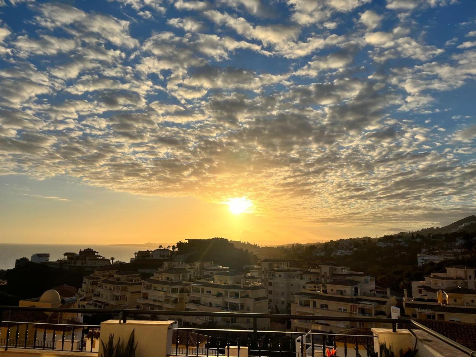 Cosy 1 Bed 50m2 Terrace Apartment