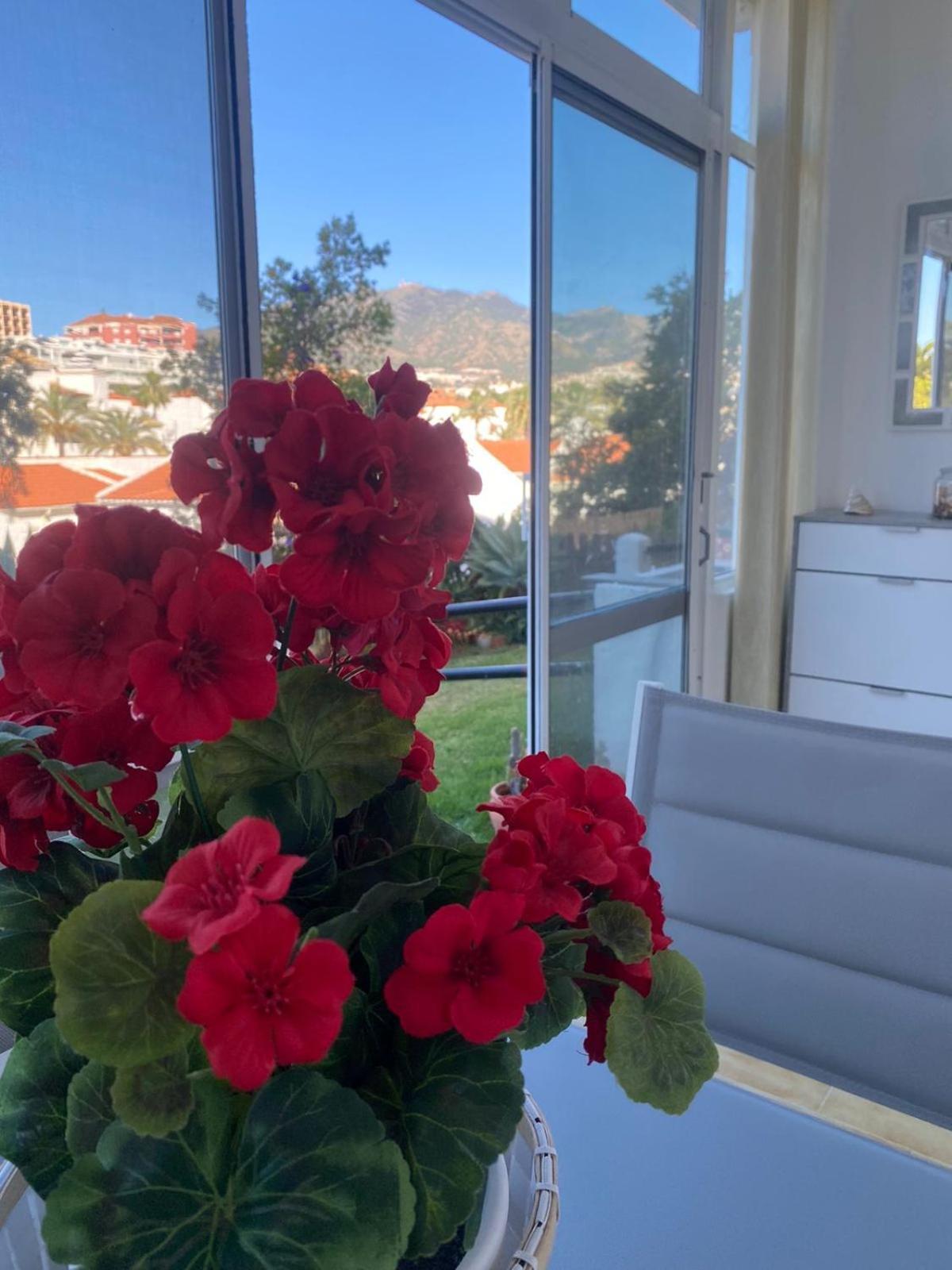 Apartamento Prealsa
