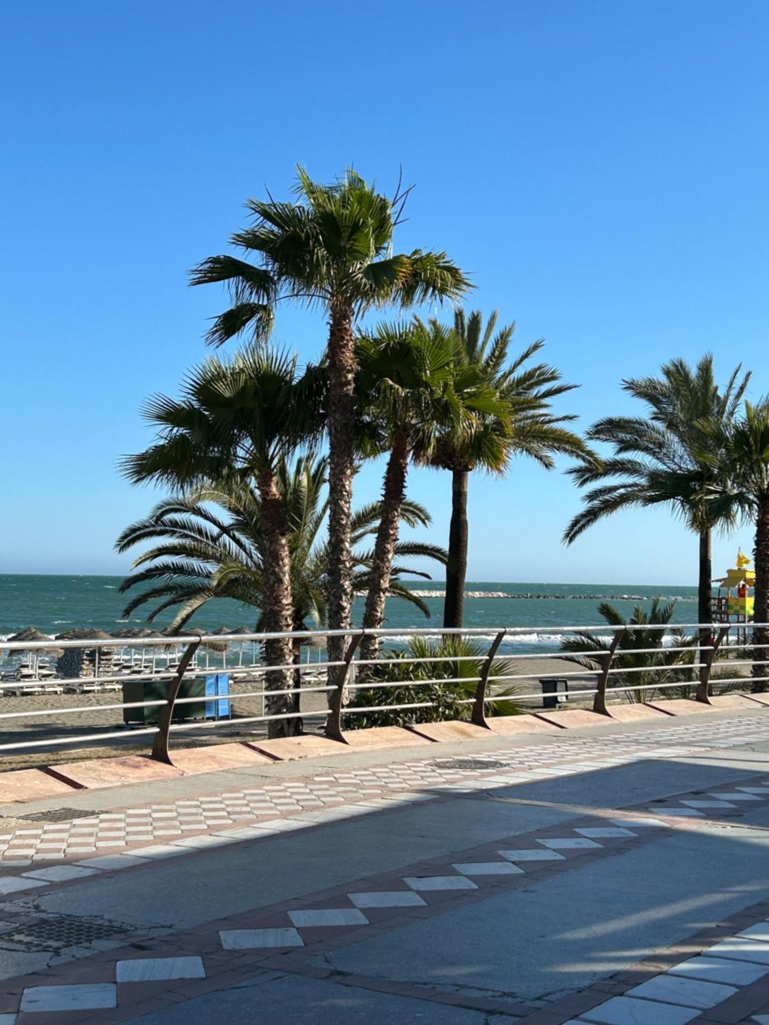 Sunterrace Minerva Apartment *