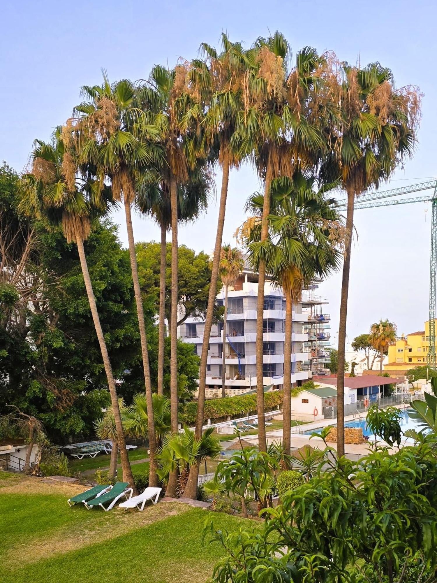 Estudio Alay Pepita En Puerto Marina Appartement