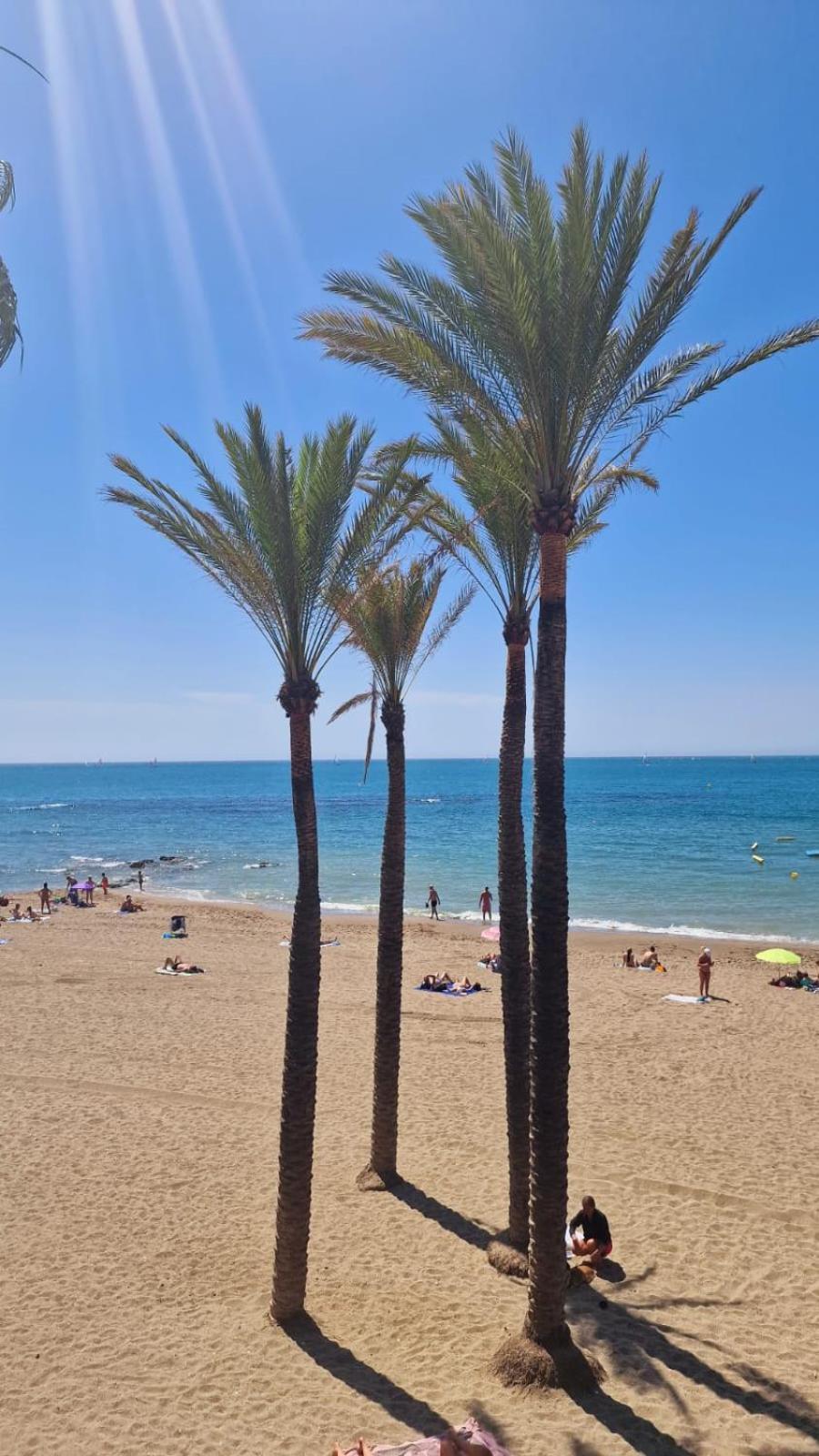 Appartement Magic Benalbeach By Benalnova *