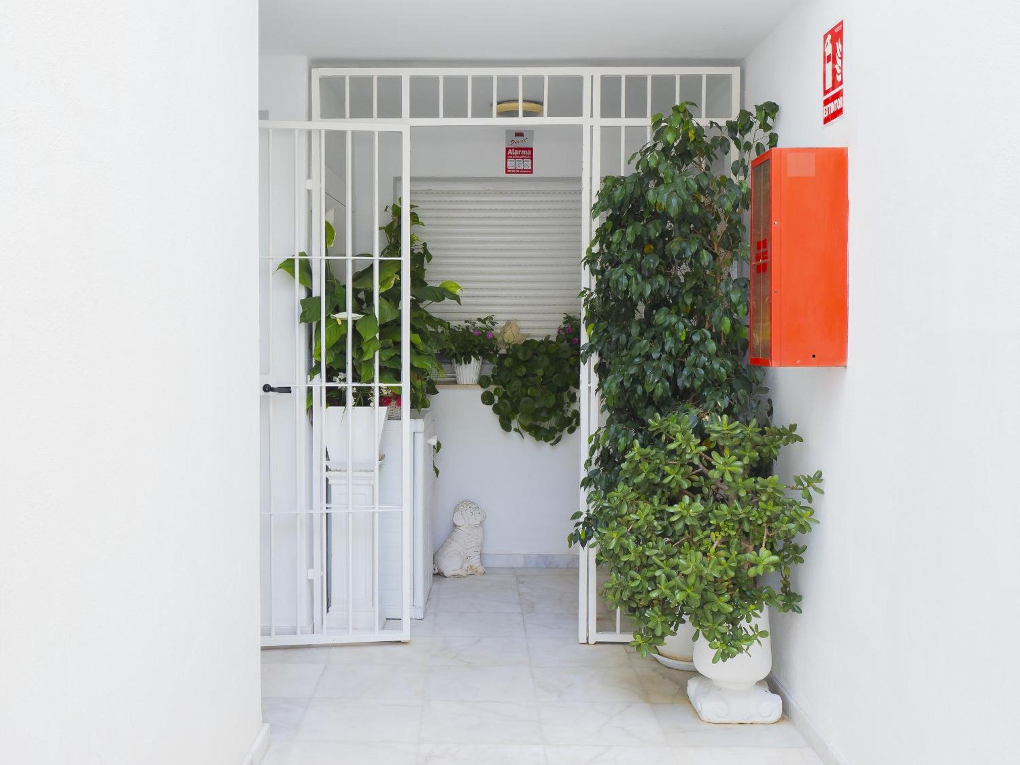 Cubo's Poseidon 3 & Pool Guest house