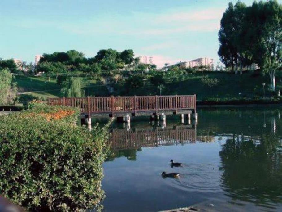 En Arroyo De La Miel Apartment