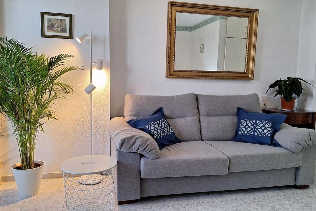 Comfy In Apartamento
