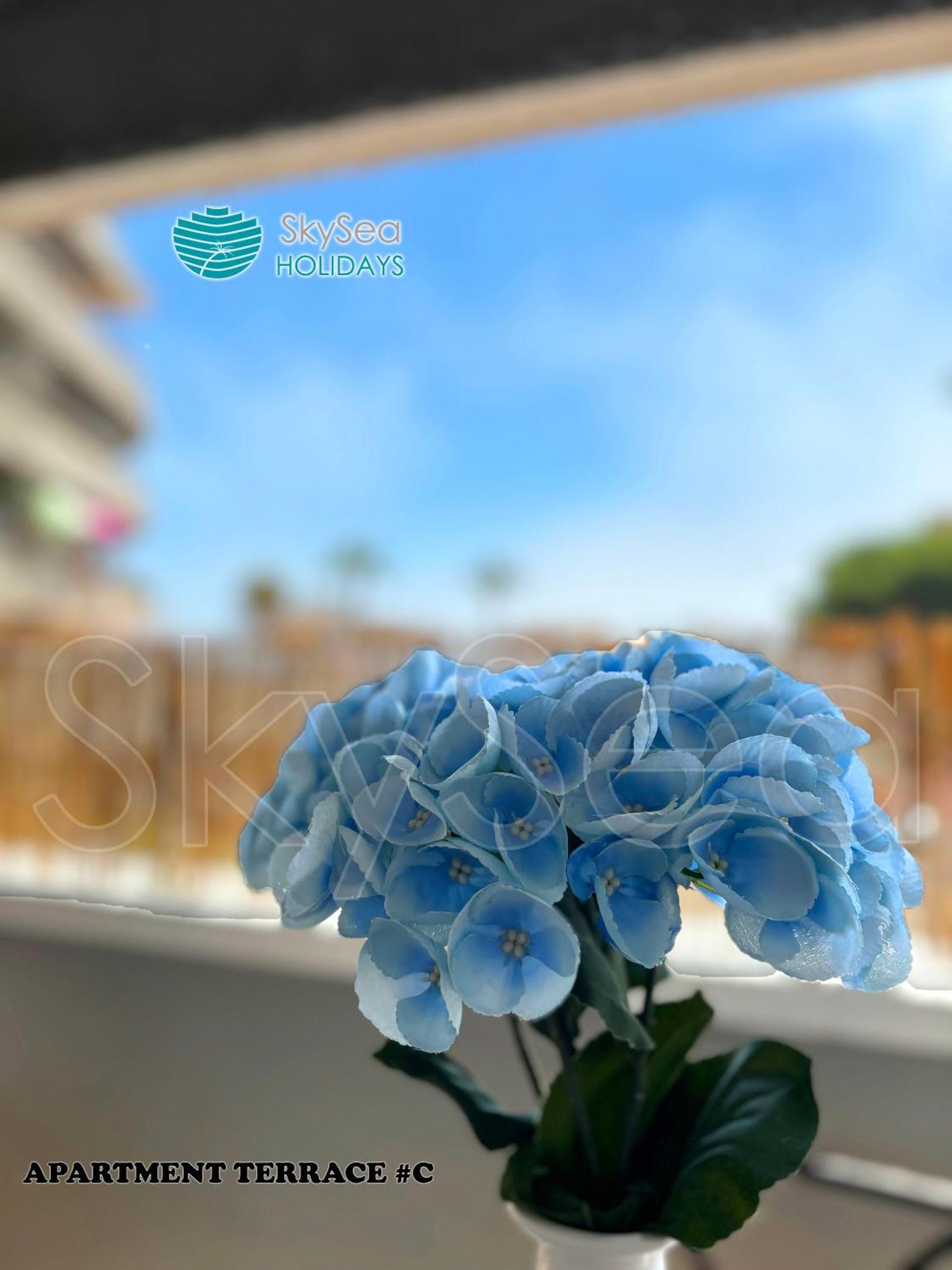 Skysea Puerto Marina