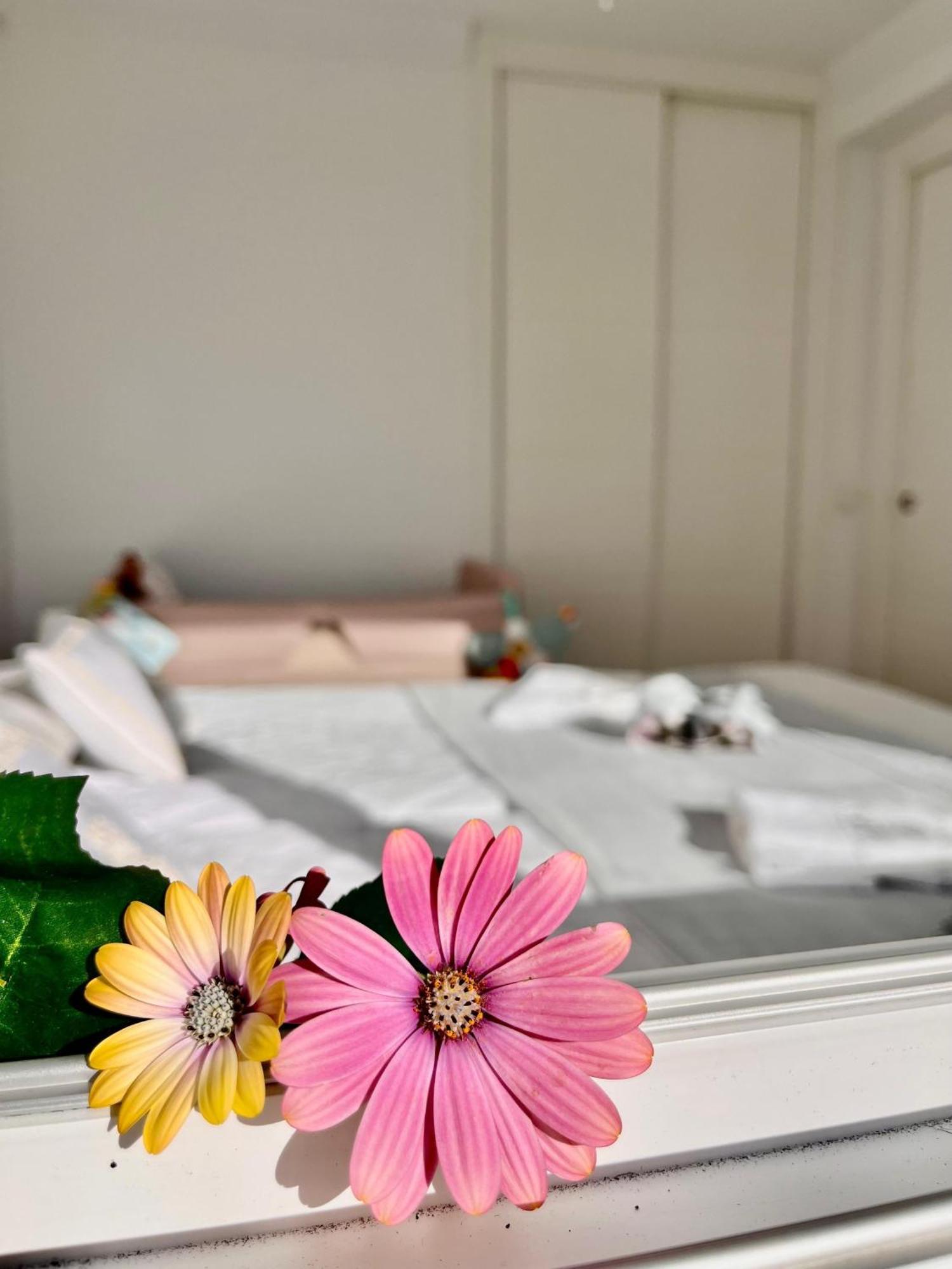 Apartment White Summer In *