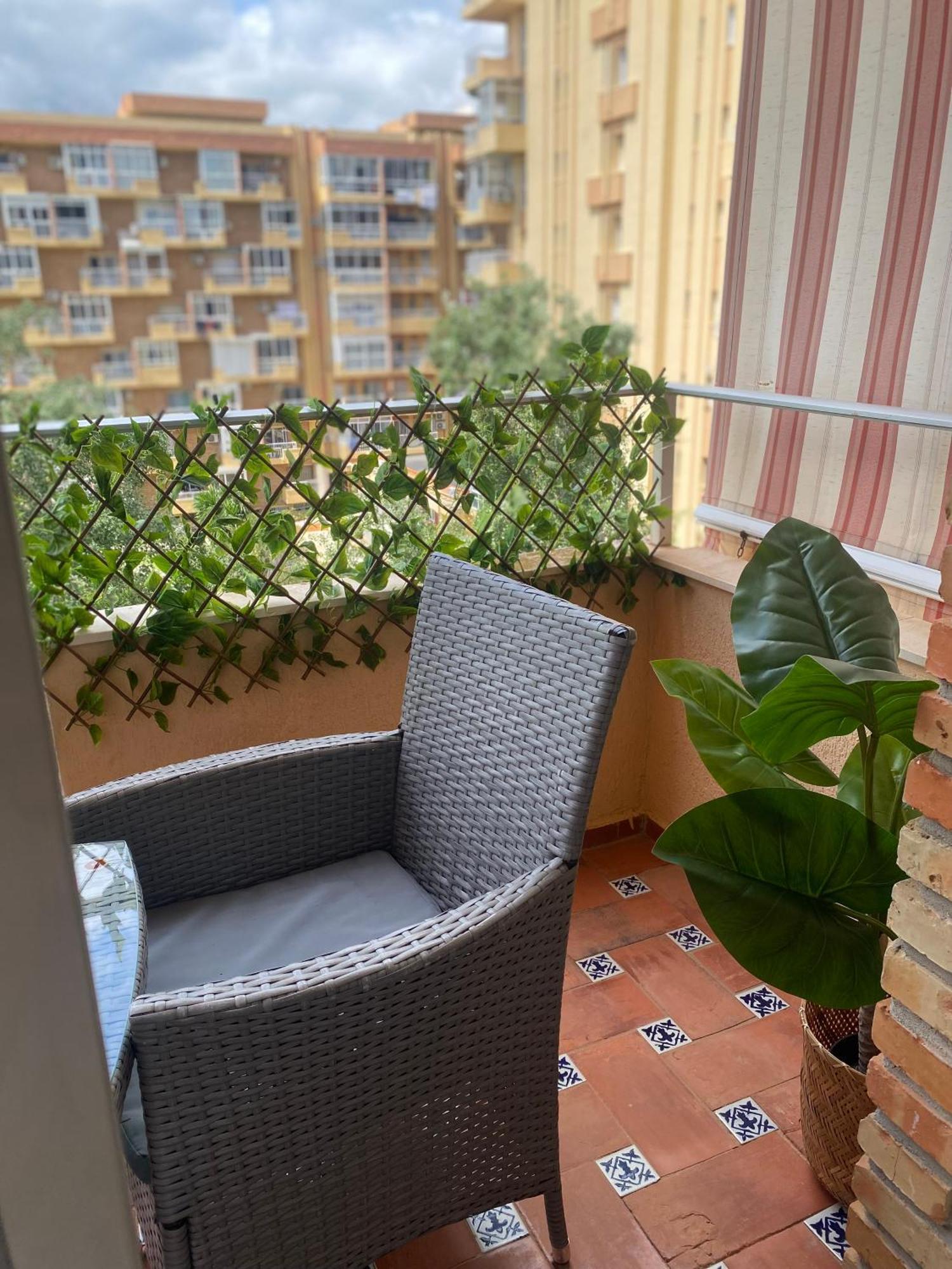 520 Estudio En Minerva Vista Al Jardin - Playa A 700 Metros *