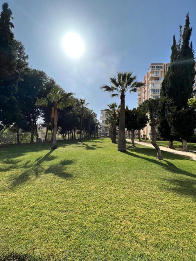 Appartement Estudio Hercules Con Piscina A 800m De La Playa *