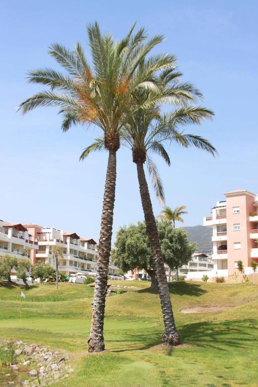 Del Mar Apartment *
