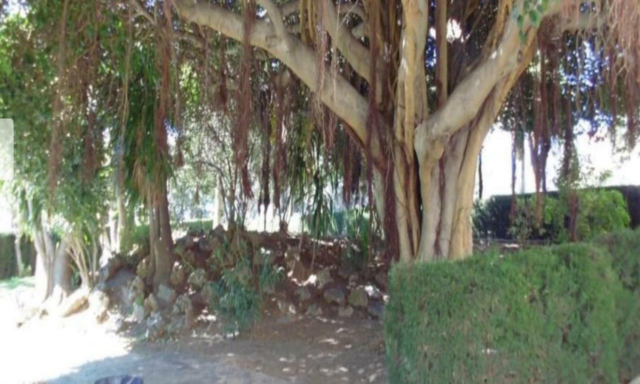 Apartamento Estudio *